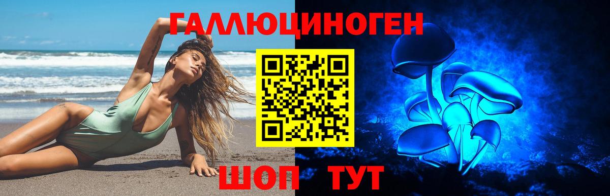 Галлюциногенные грибы Psilocybe  Псилоцибиновые грибы мицелий  Вход с VPN  Заводоуковск 